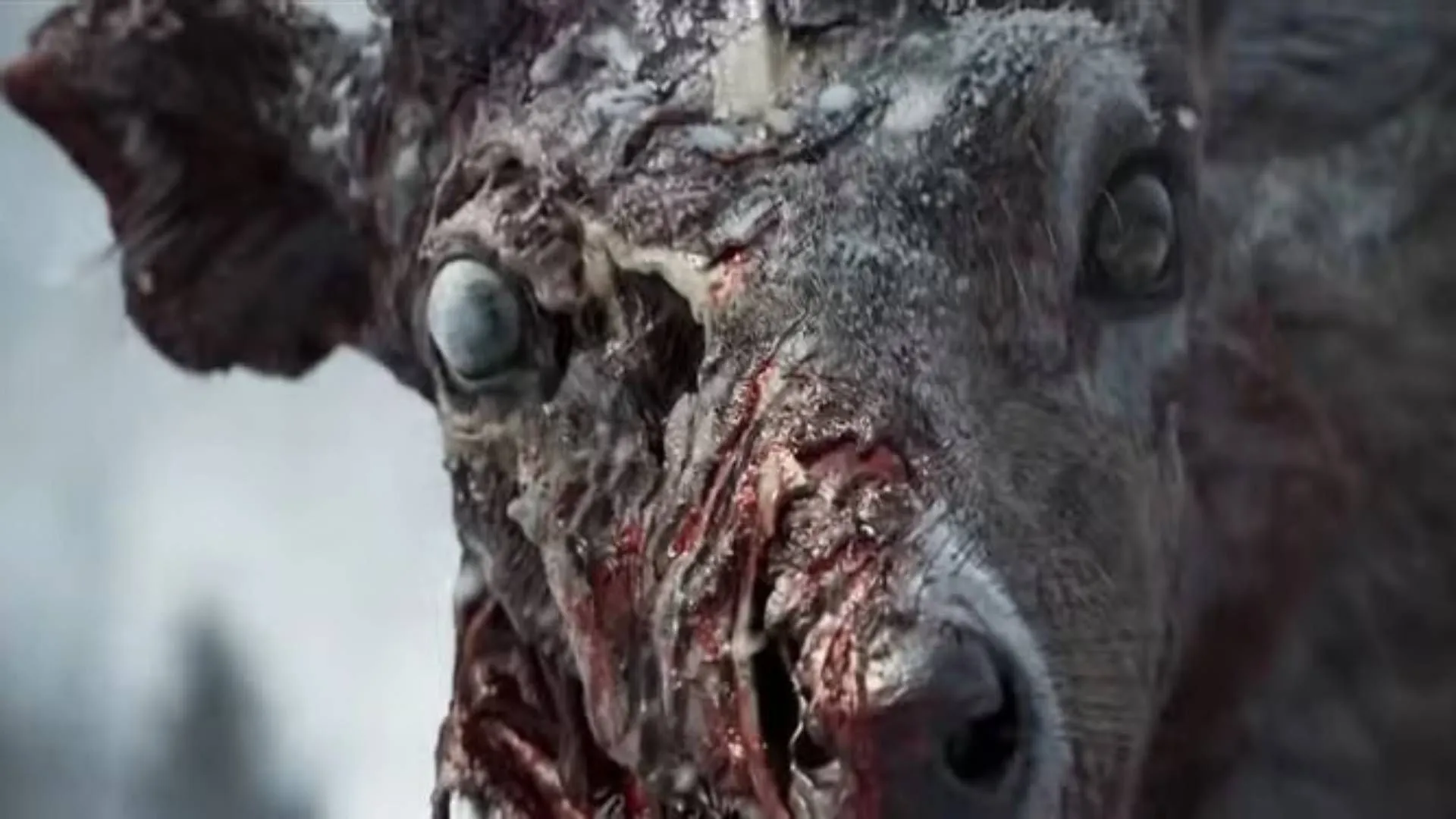 揭秘,年度薪资,十大最高收,网球直播,网球直播体育,Tennis,Sports,网球直播体育官网