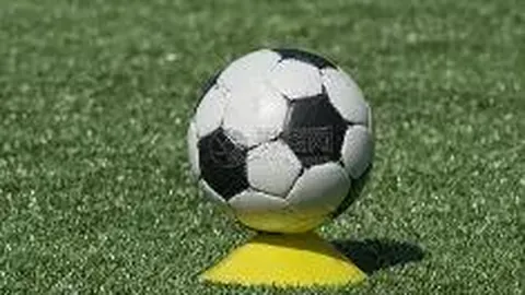 全国人大常委辞职公告